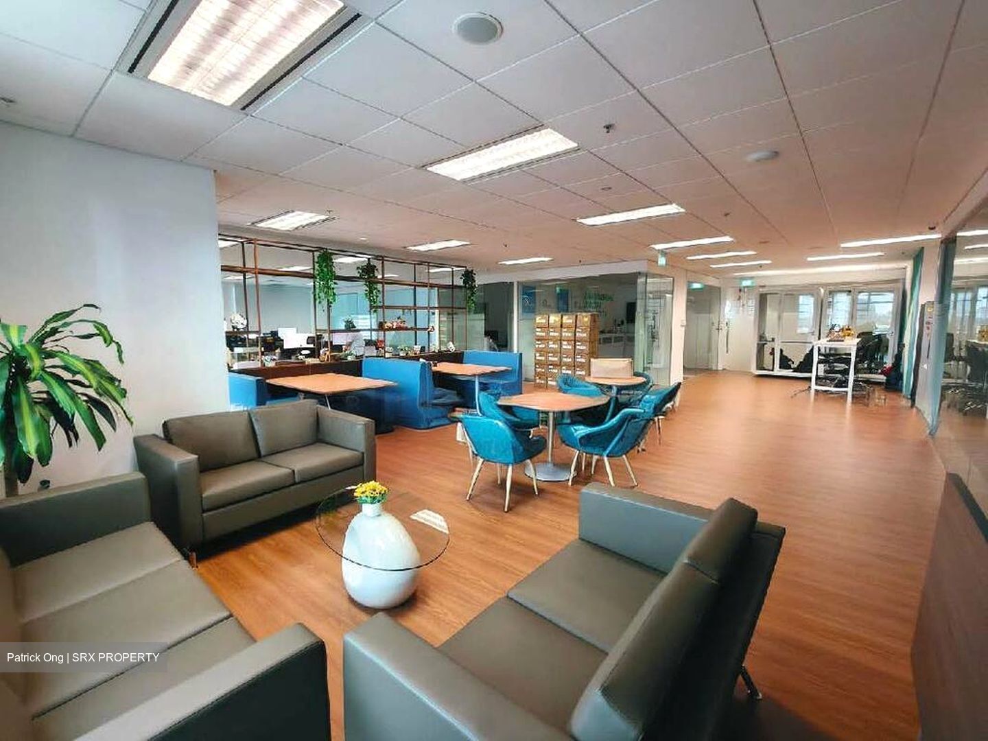 Bugis Junction (D7), Office #526295571
